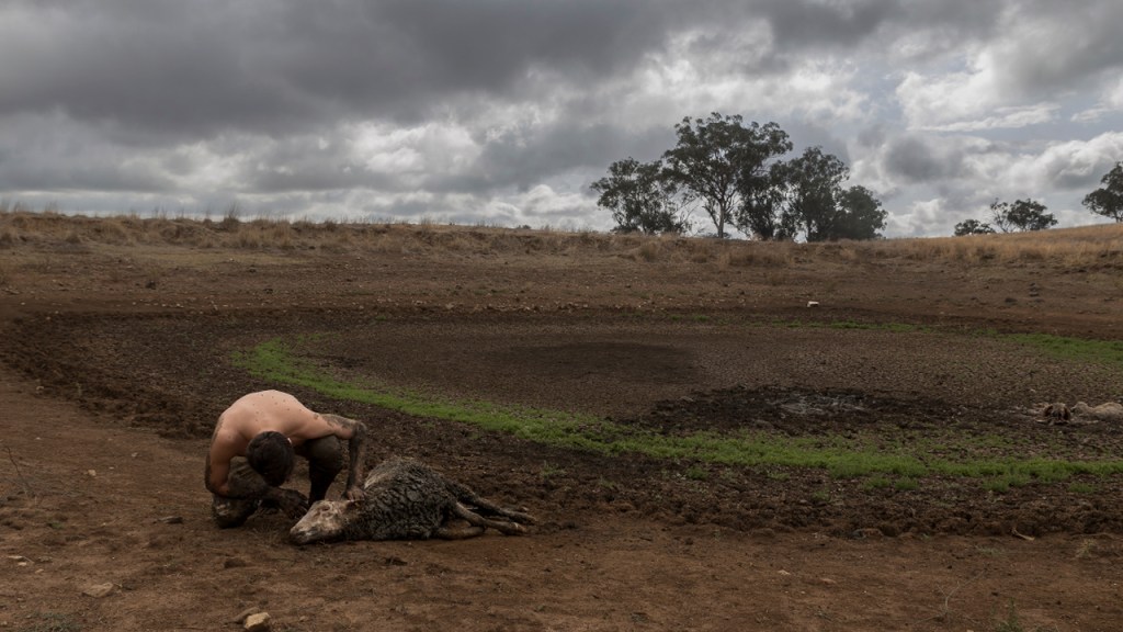 ONU, GEO-6 y ecología de la&nbsp;supervivencia