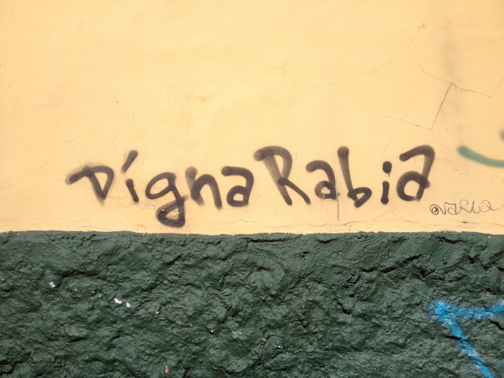 Notas sobre la digna rabia como ética-política de la educación con personas jóvenes y&nbsp;adultas