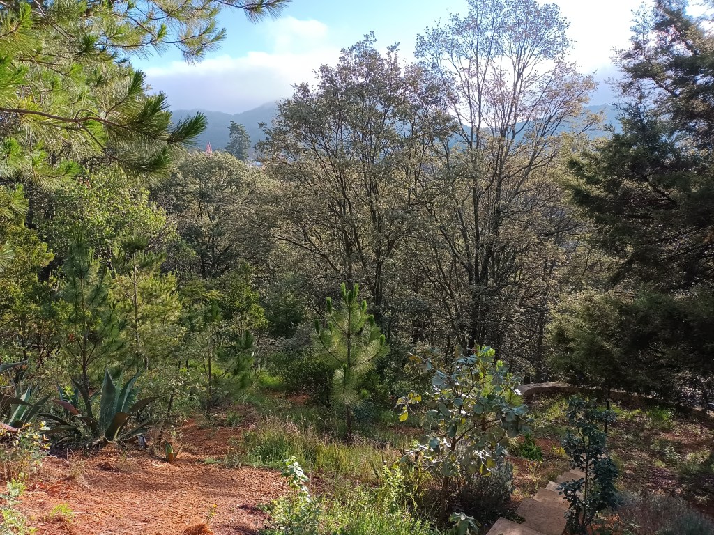 Un cuarto vacío: Hiperdependencia al reconocimiento o cuántas vistas necesita uno para sentirse alguien en la&nbsp;vida