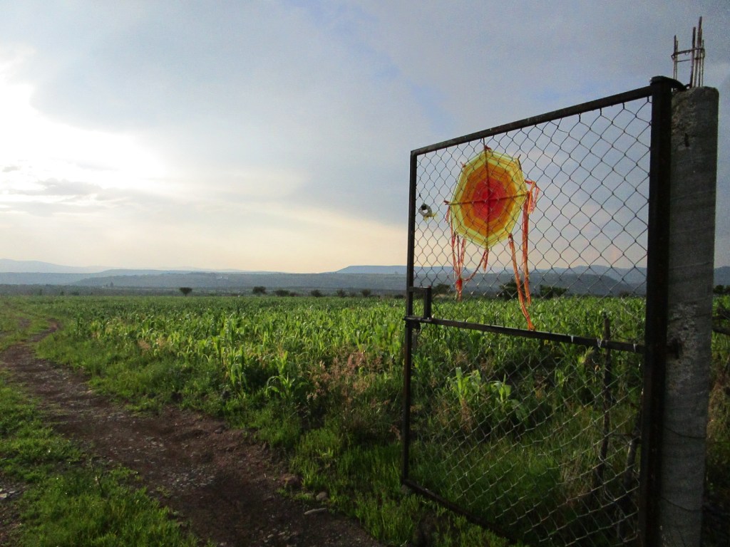 Hacia la escuela comunitaria en Ojo de Agua de los&nbsp;Reyes